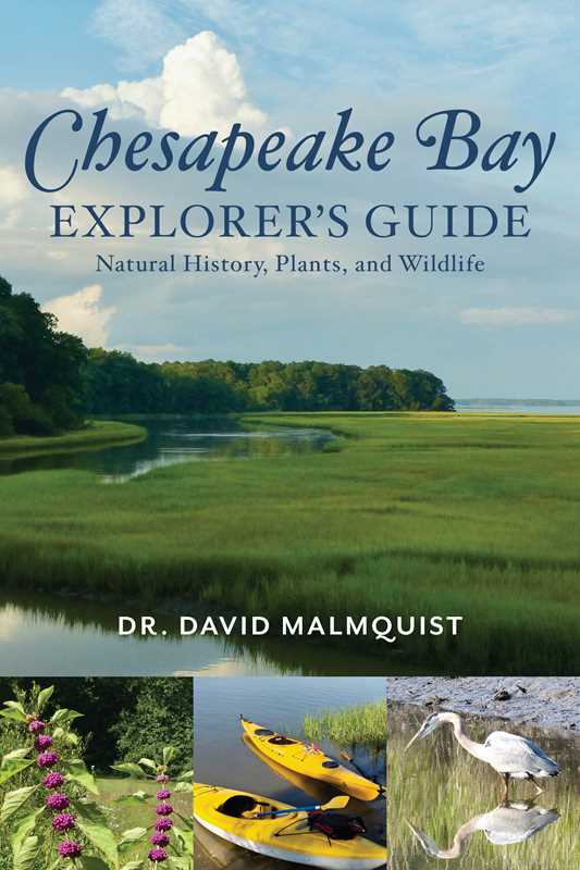 CHESAPEAKE BAY EXPLORER'S GUIDE BY DR. DAVID MALMQUIST