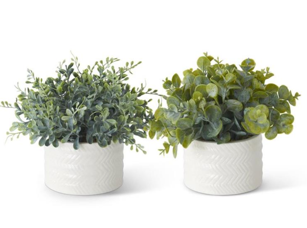 ASSORTED 7.25 INCH EUCALYPTUS WHITE CERAMIC VASE