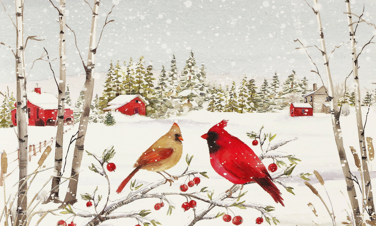 CARDINALS IN WINTER DELUXE HOLIDAY CARDS