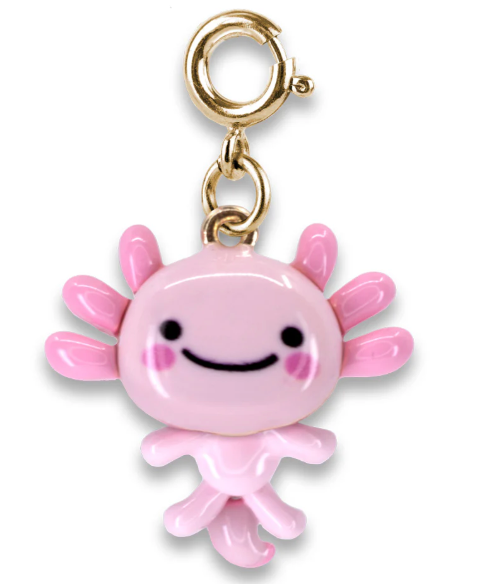 CHARM IT! CHARMS
