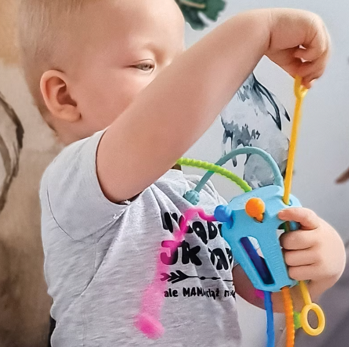 ZIPPEE TOY