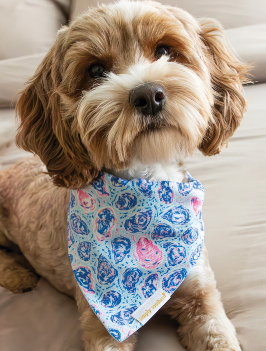 SIMPLY SOUTHERN PET BANDANA