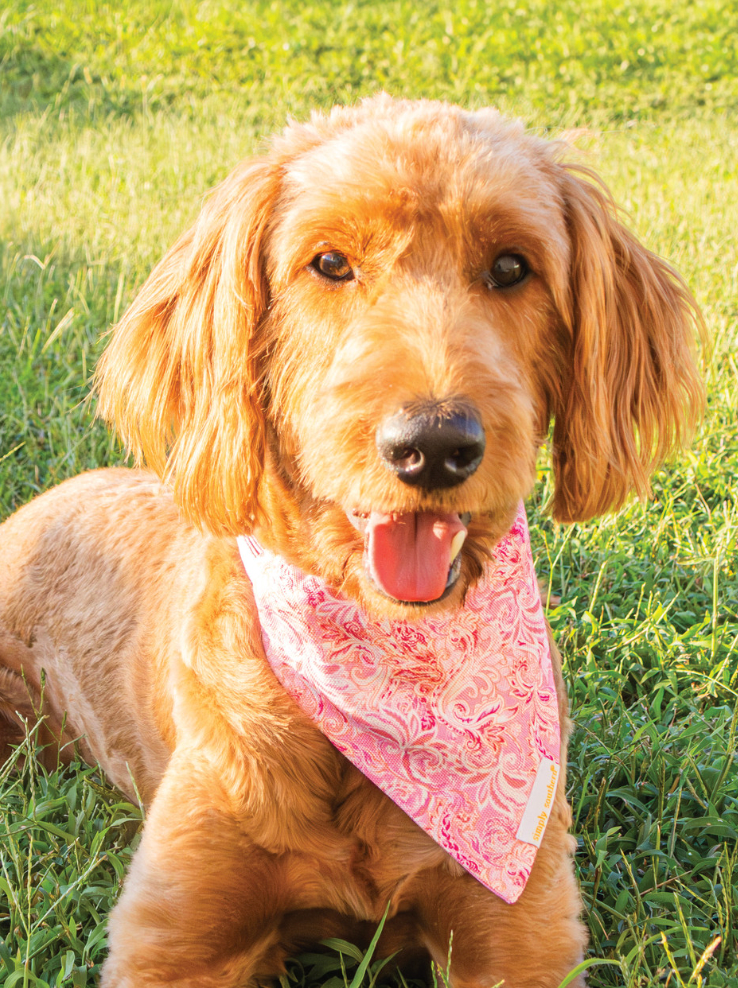 SIMPLY SOUTHERN PET BANDANA