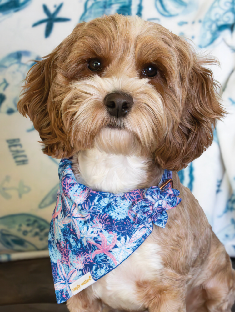 SIMPLY SOUTHERN PET BANDANA