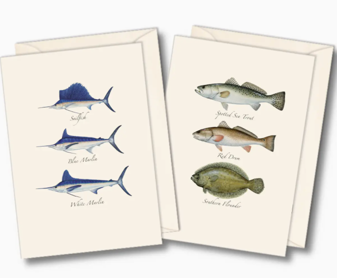 SALTWATER FISH ASSORTMENT NOTECARDS BOX
