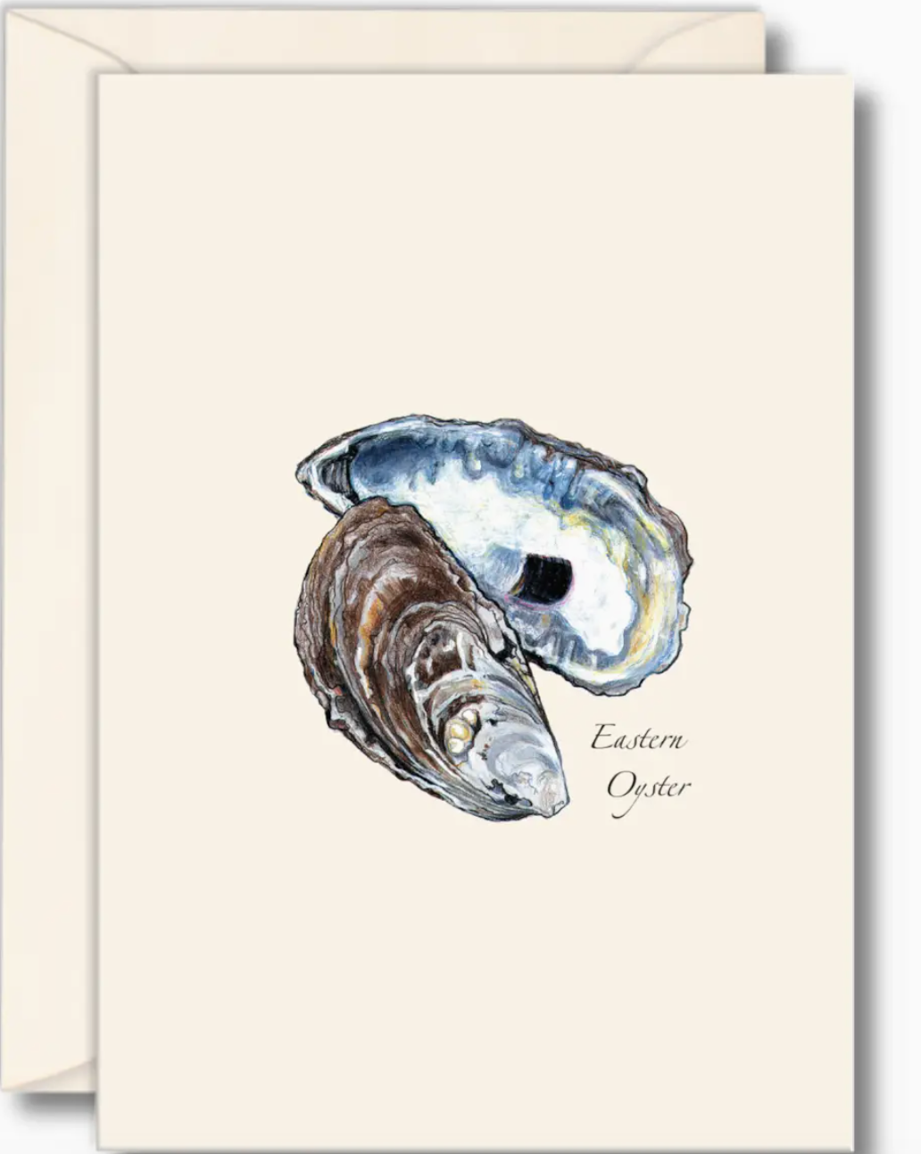 OYSTER NOTECARD SET