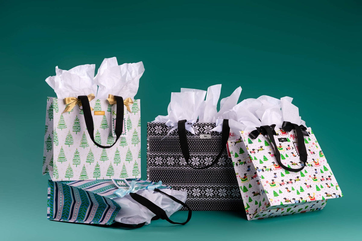 GIFT BAG SMALL SPRUCE SPRINGSTEEN