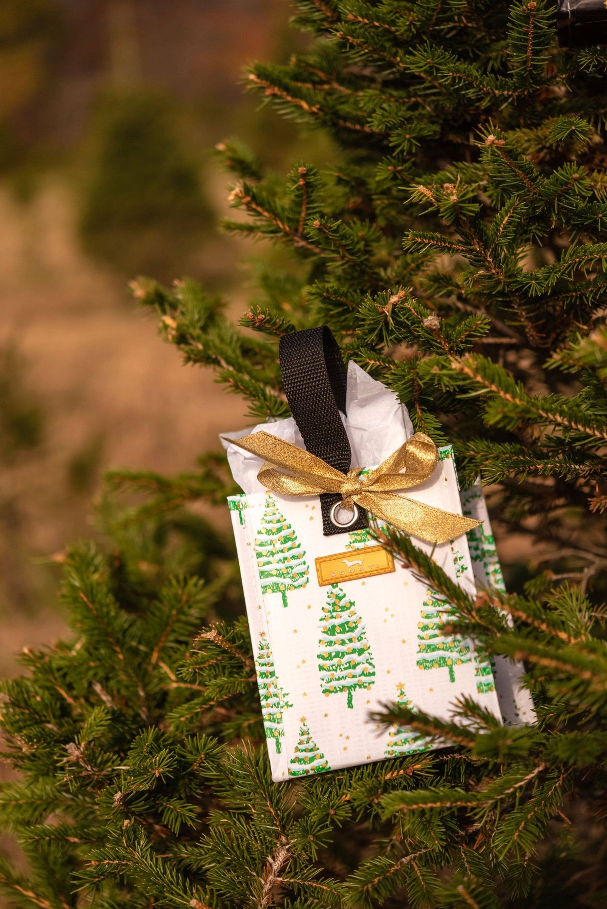 GIFT BAG SQUARE X-SMALL SPRUCE SPRINGSTEEN
