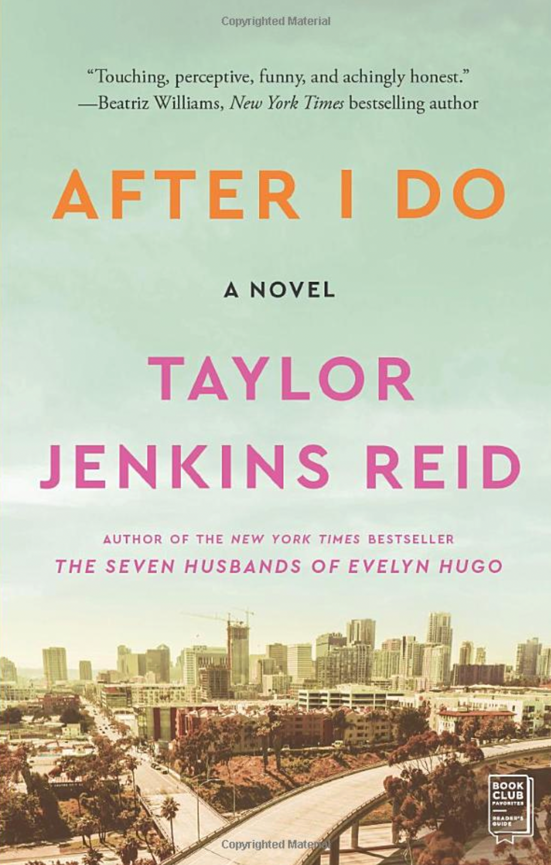 AFTER I DO NOVEL