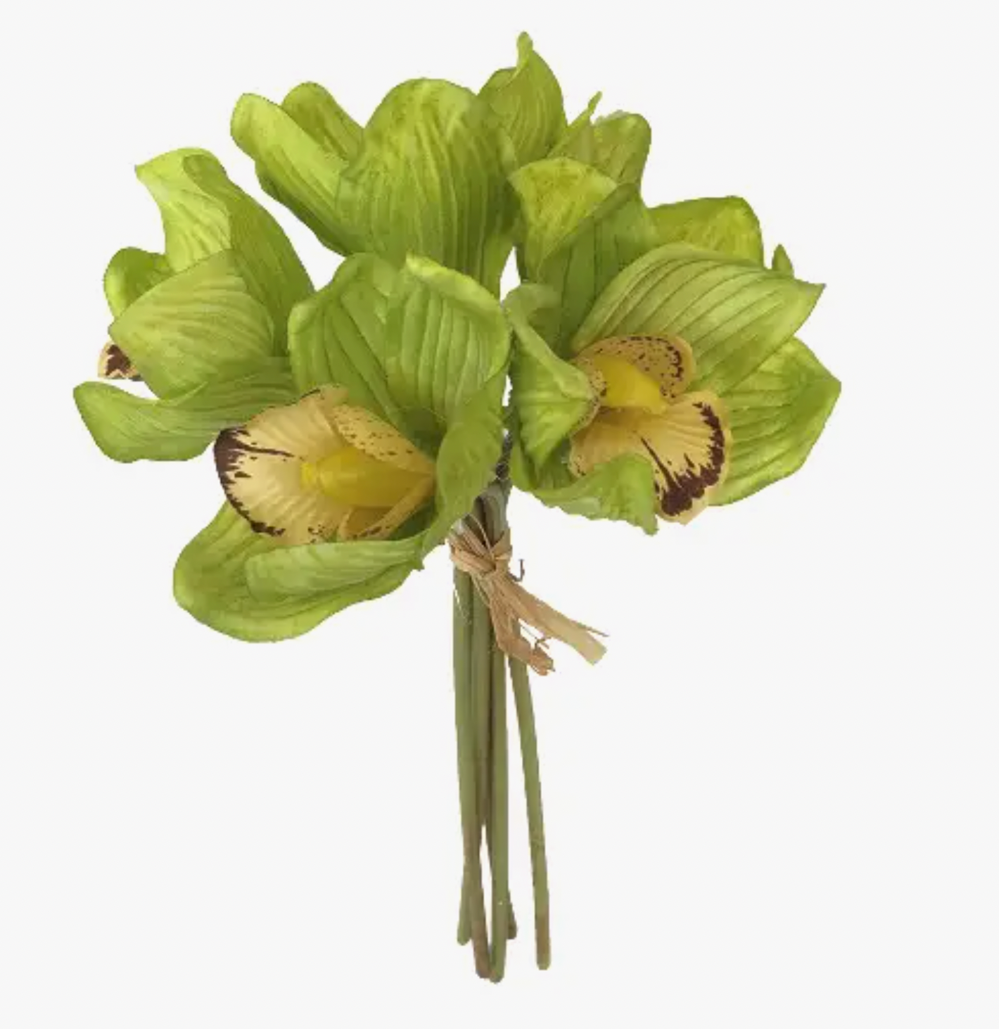 12" ARTIFICIAL CYMBIDIUM ORCHID BUNDLE GREEN