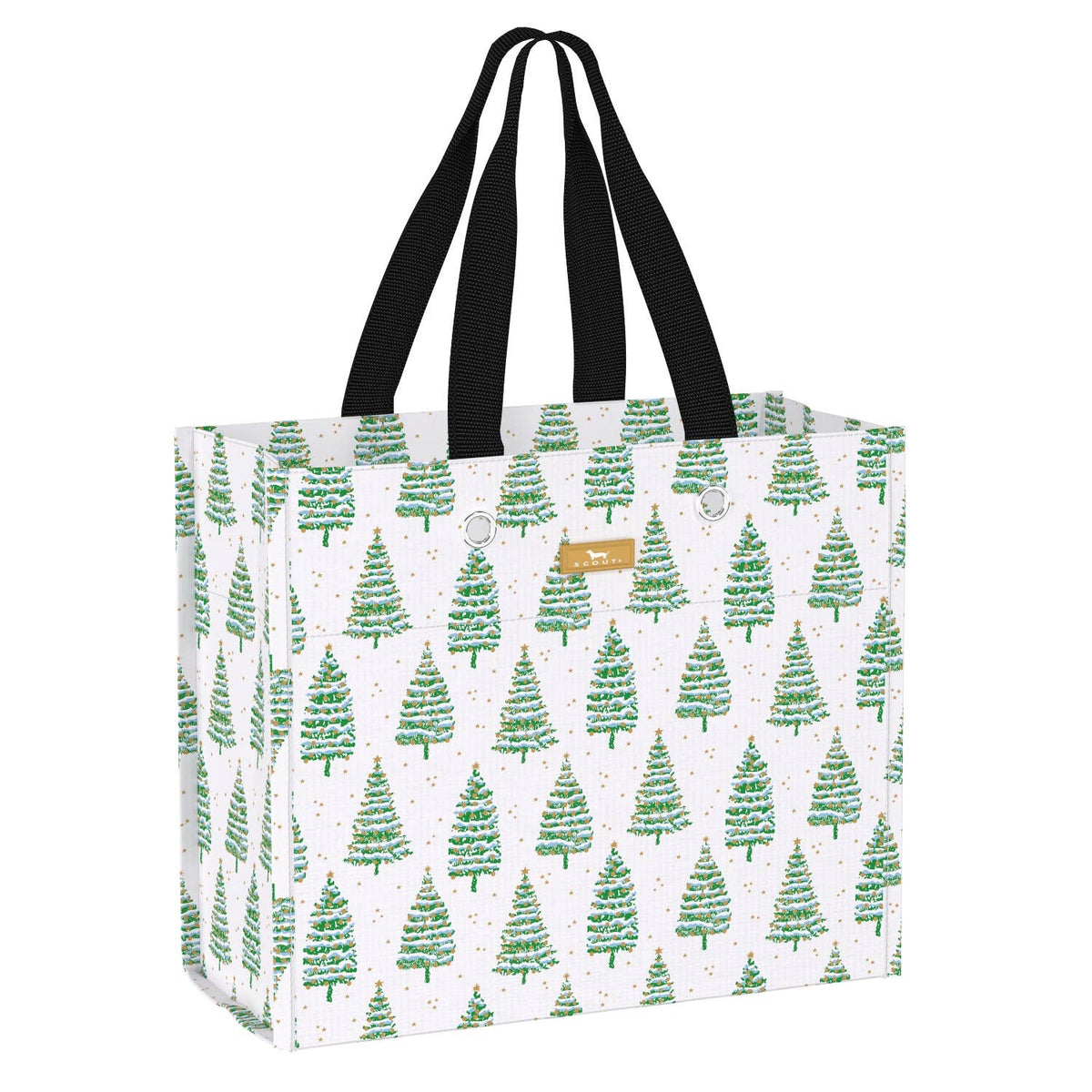 GIFT BAG LARGE SPRUCE SPRINGSTEEN