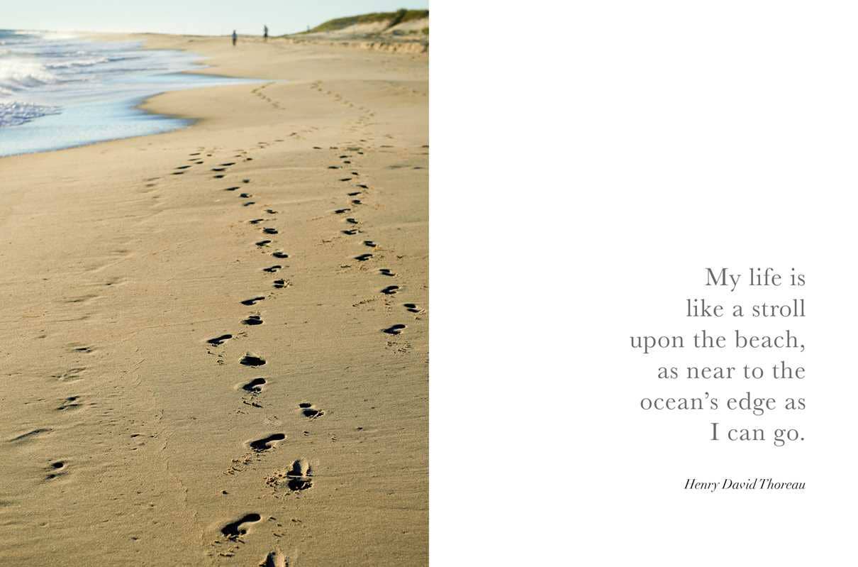 SEASIDE INSPIRATIONS