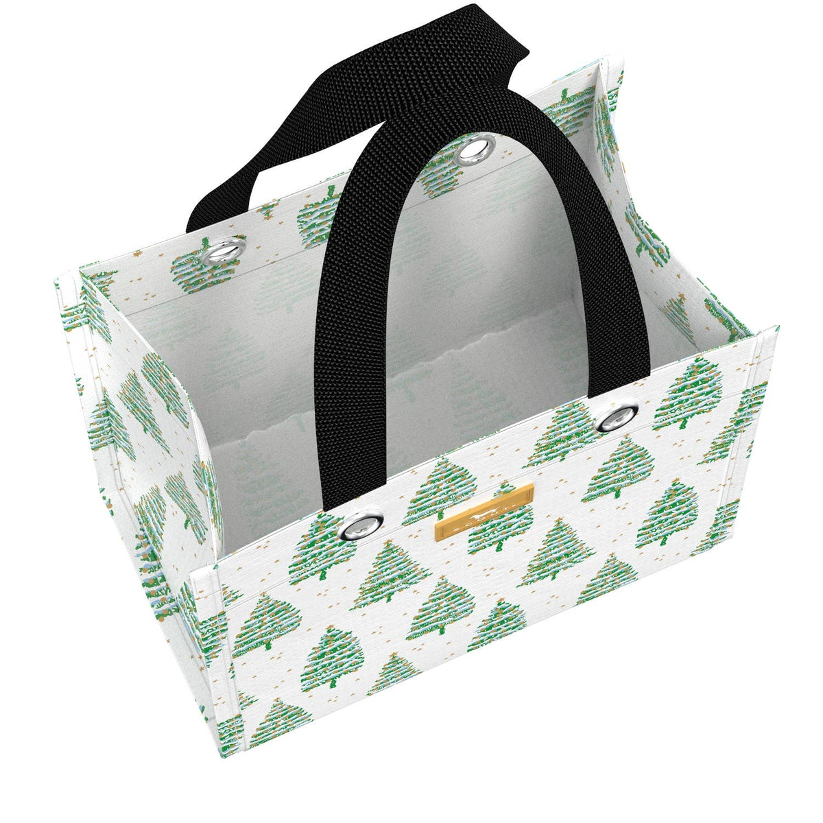GIFT BAG SMALL SPRUCE SPRINGSTEEN