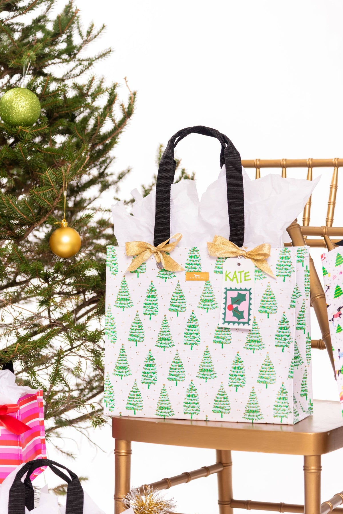 GIFT BAG LARGE SPRUCE SPRINGSTEEN