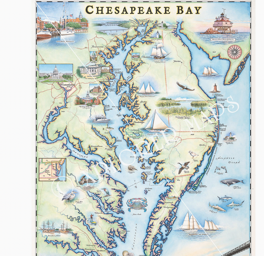 CHESAPEAKE BAY HAND DRAWN MAP 18 X 24 UNFRAMED