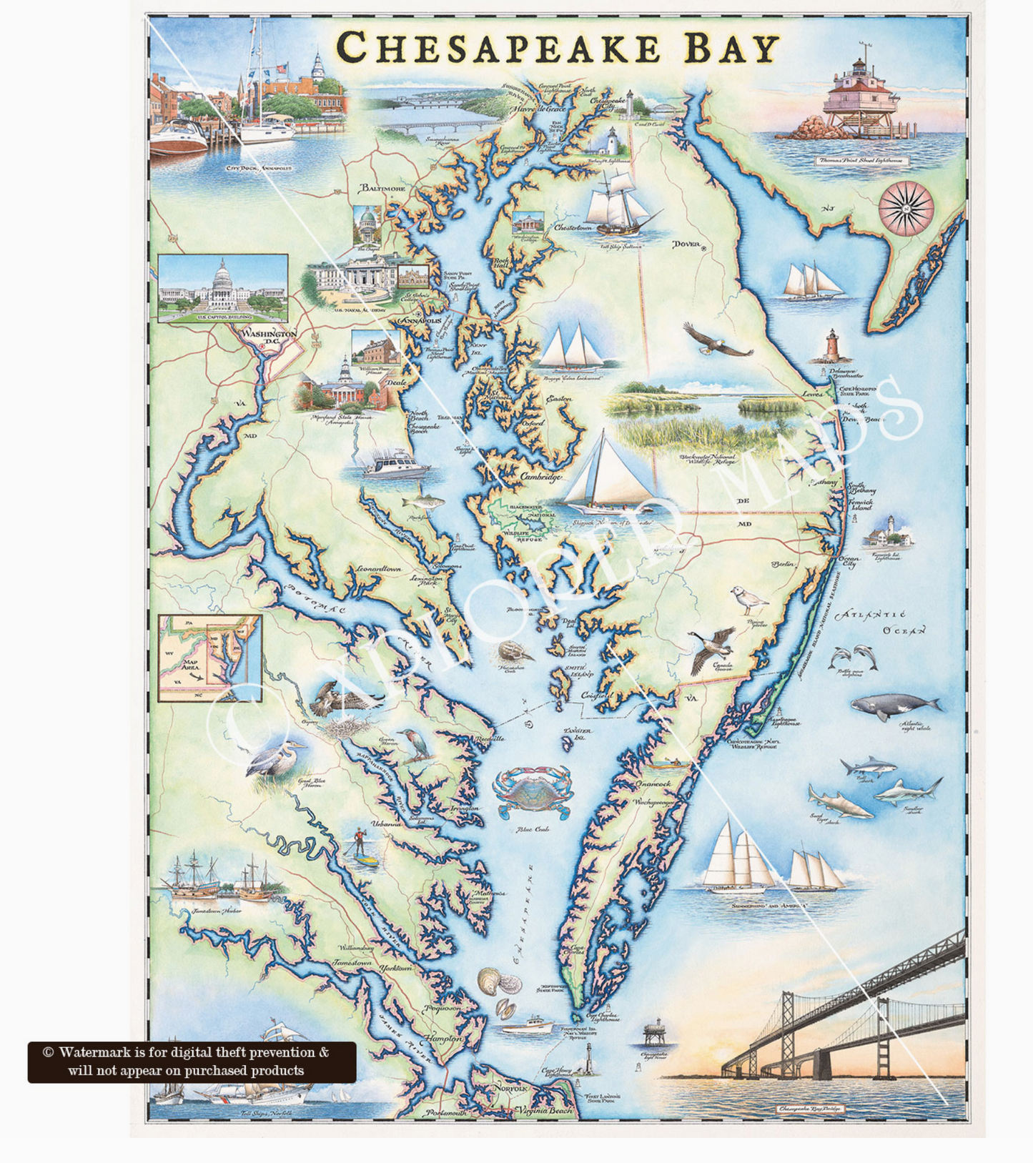 CHESAPEAKE BAY HAND DRAWN MAP 18 X 24 UNFRAMED