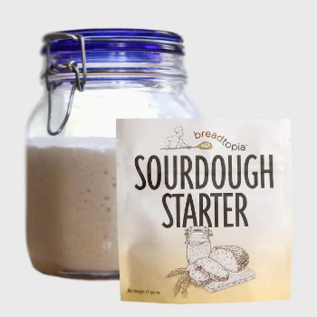 SOURDOUGH STARTER