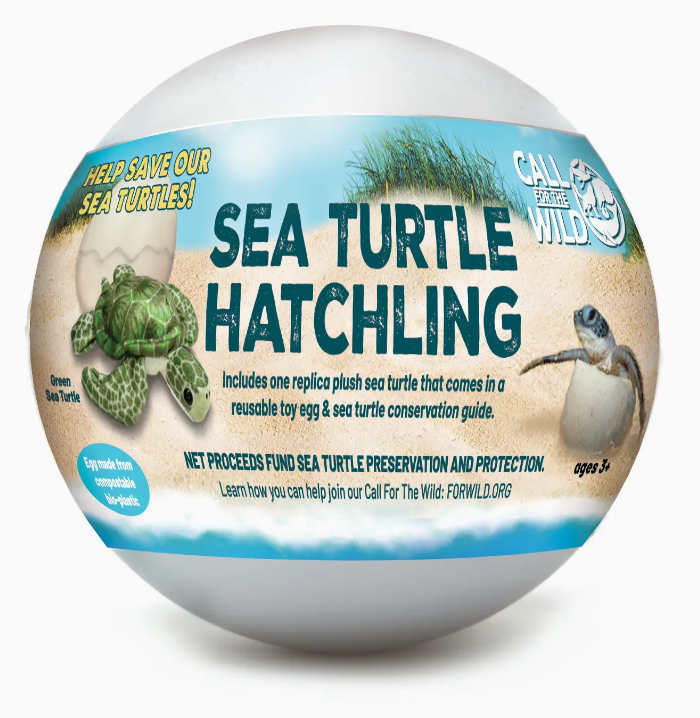 SEA TURTLE HATCHLING POINT OF SALE