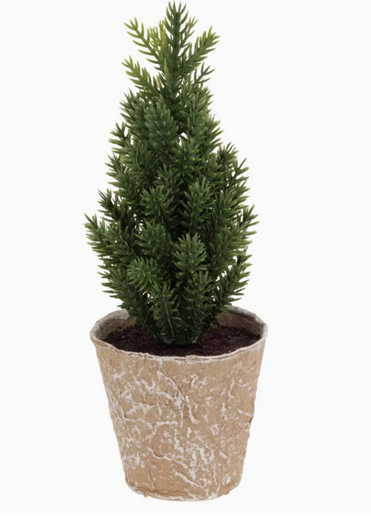 6.75 TALL PAPER POT PLAIN TREE CHRISTMAS