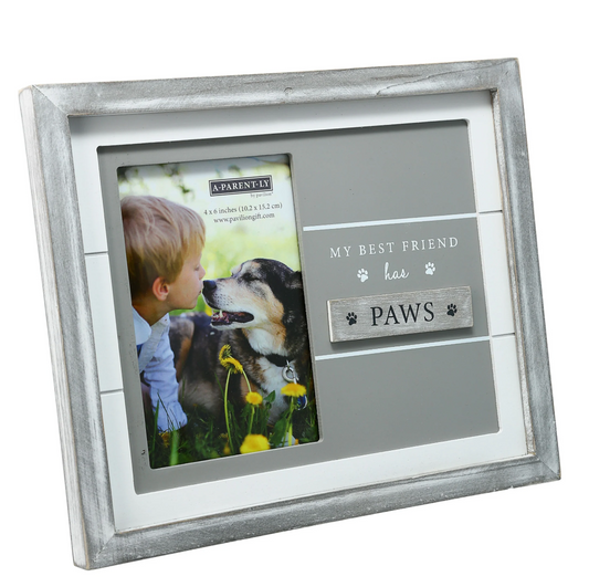 PET FRAME 9.75 X 8.25