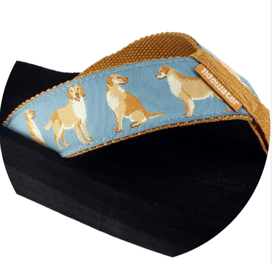 TIDEWATER GOLDEN RETRIEVERS
