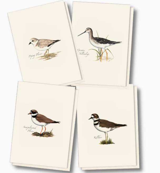 SHOREBIRD ASSORTMENT OF NOTECARDS