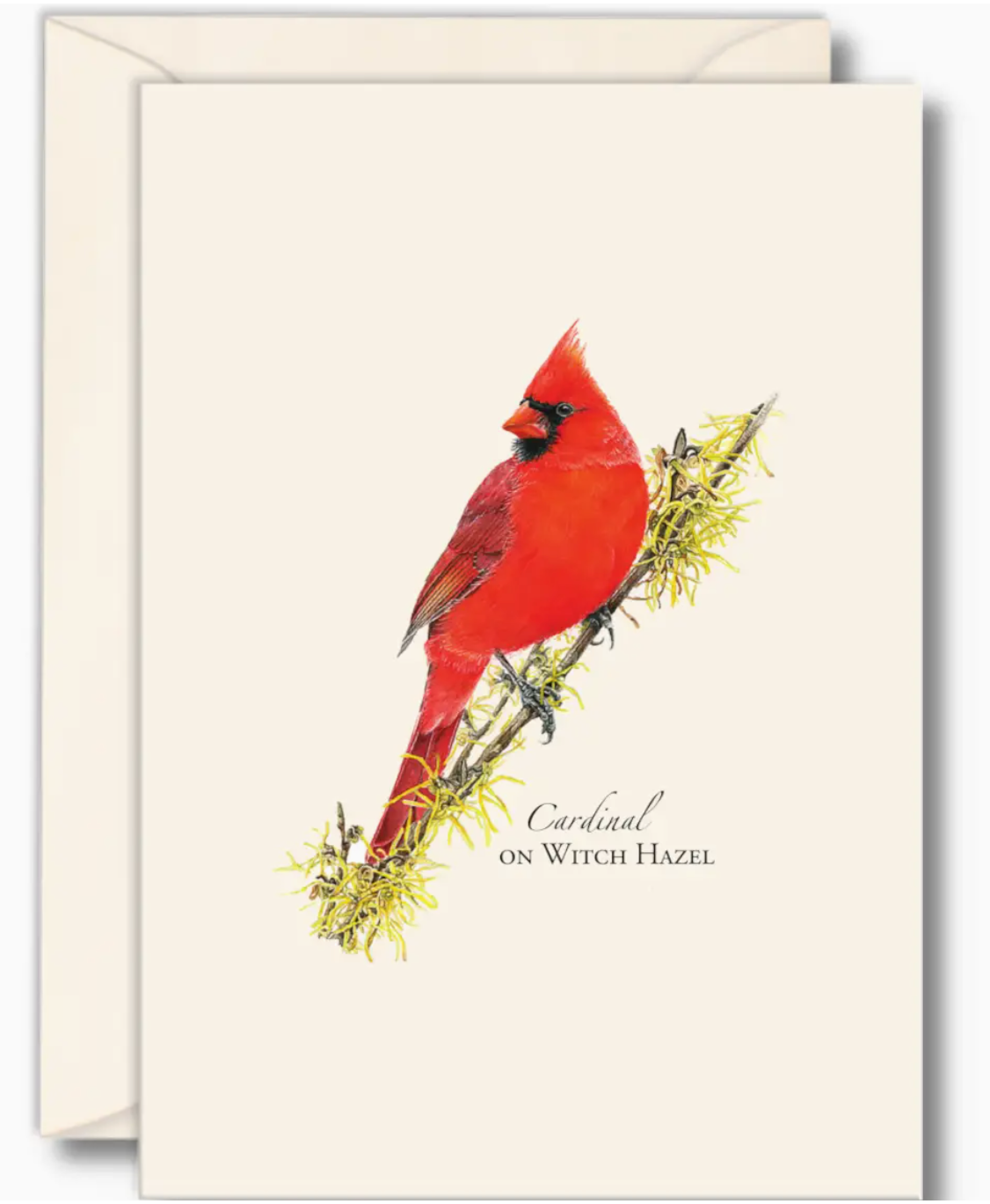 CARDINAL ON WITCH HAZEL NOTECARD SET