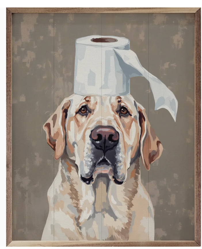 TOILET PAPER HELPER 16 X 20