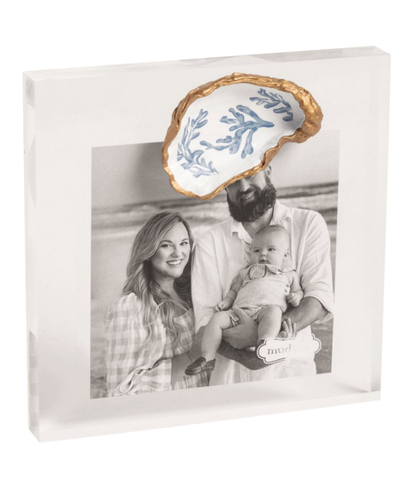 ACRYLIC BLUE CORAL FRAME