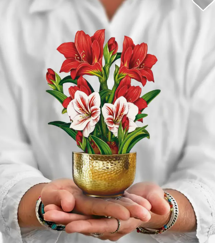 FRESHCUT PAPER HOLIDAY CARDS