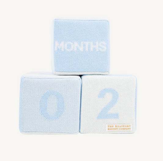 BEAUFORT BONNET- BLAYLOCK BLOCKS