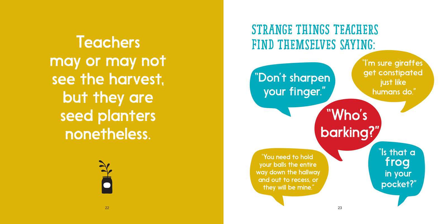 WHAT IT MEANS TO BE A TEACHER