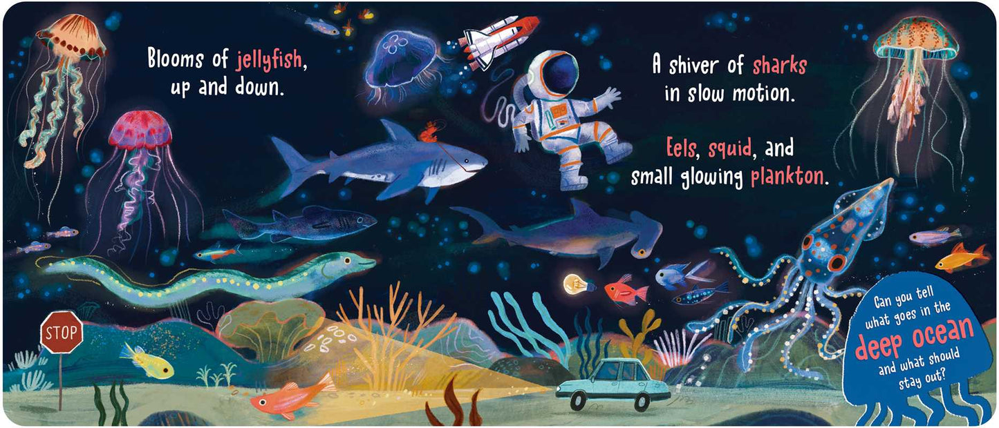 WHAT GOES IN THE OCEAN? BY DORI ELYS